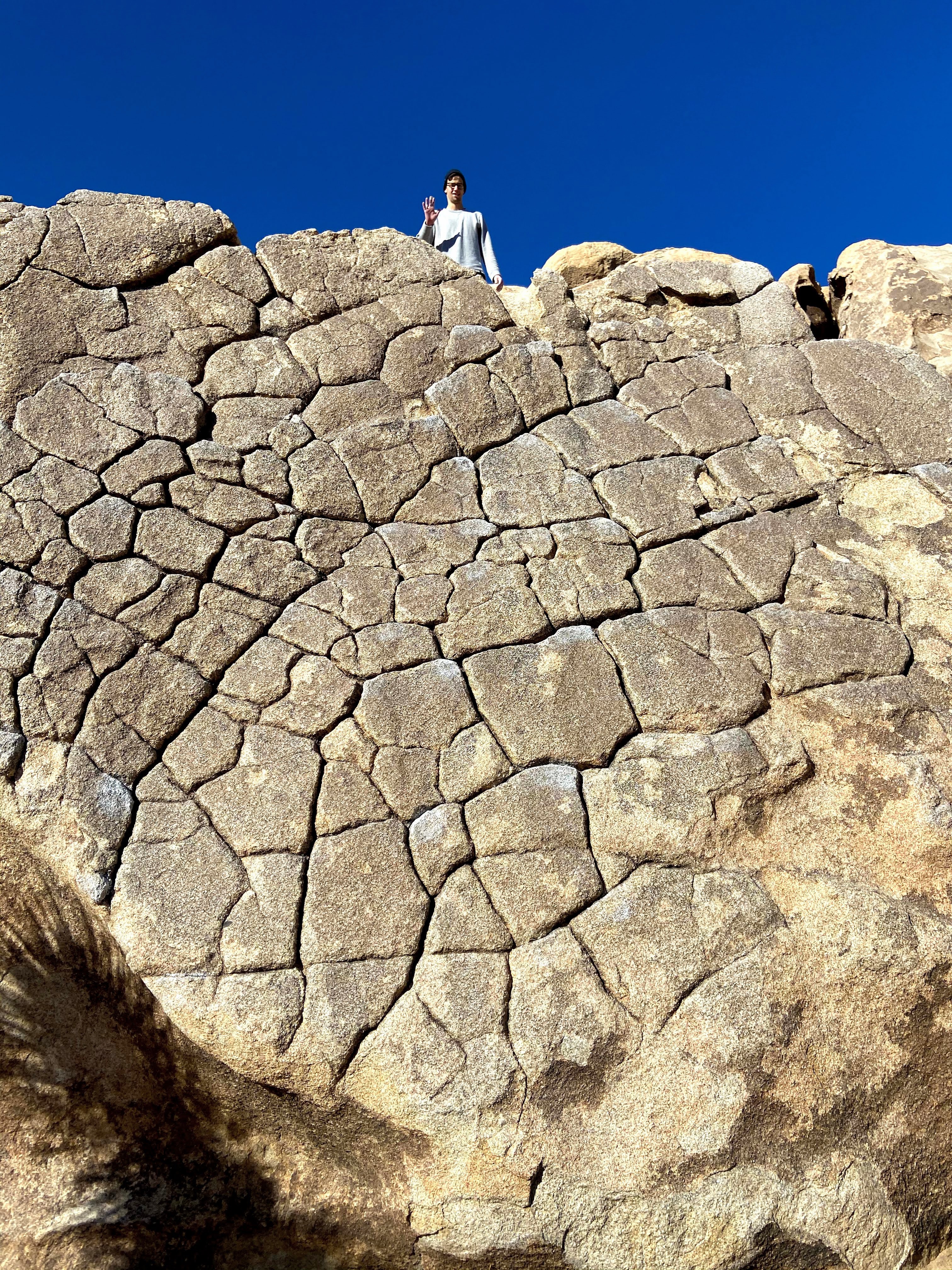 Dragon Skin View from the Top